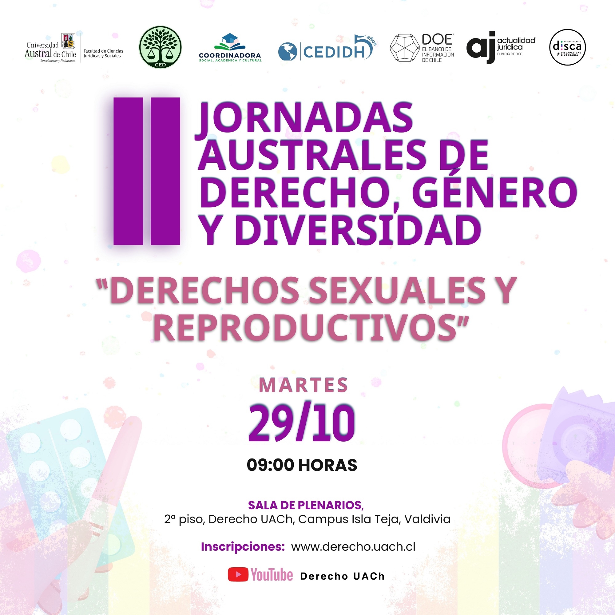 IIjornadasAustralesDerechoGenero