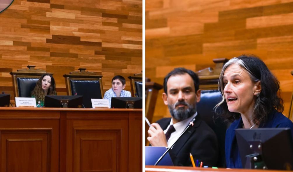 Destacada participación de académicas UACh en seminario internacional del Tribunal Constitucional